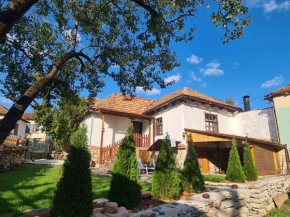 Vila Antić